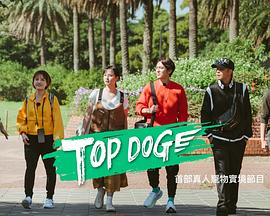 成人头条《TOP DOG》免费在线观看