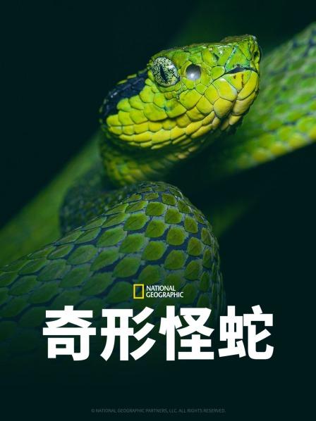 成人快手《奇形怪蛇》免费在线观看